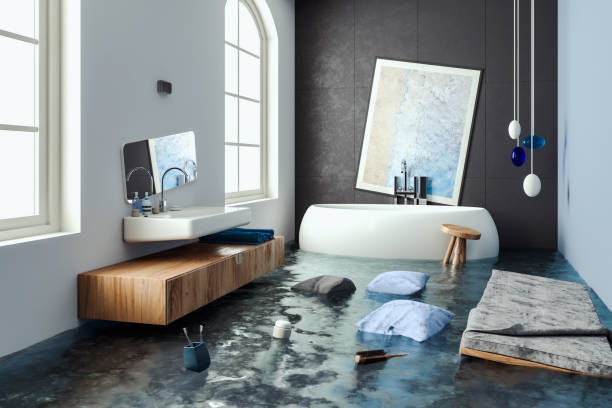 Best Carpet water damage restoration  in Stagecoach, NV